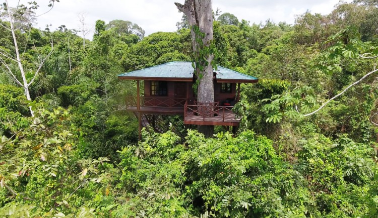 boomhut costa rica 1
