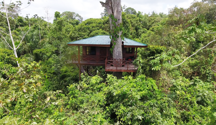 boomhut costa rica