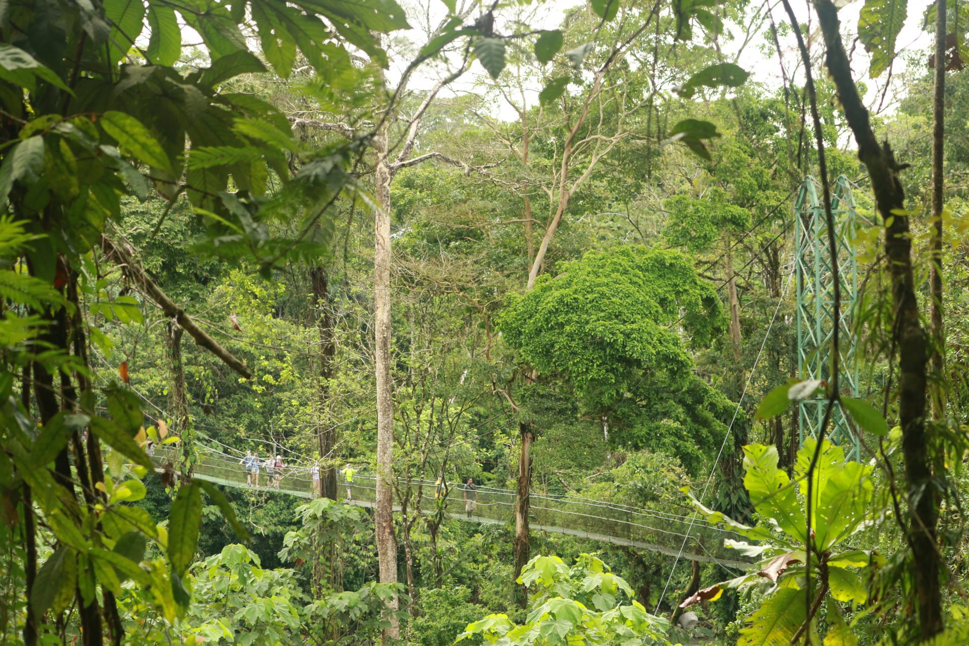 Hangbrug Puerto Viejo de Sarapiquí Hangbrug