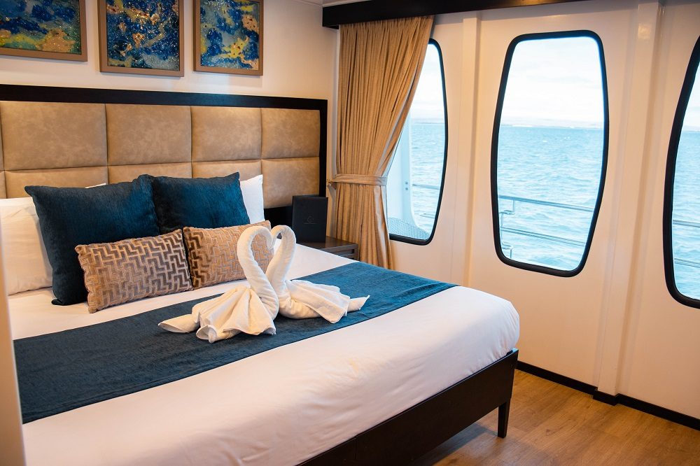 Alya Catamaran cabin