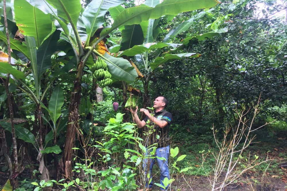 Amazone 11 Amazone 11