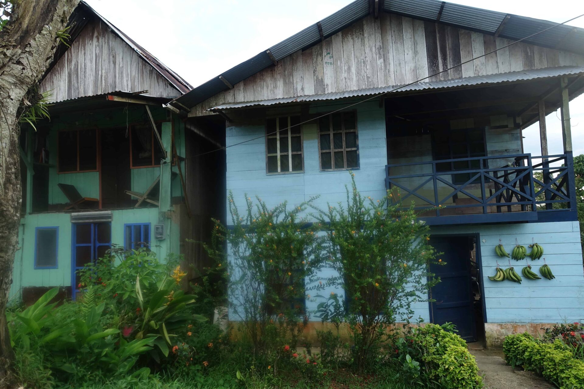 Amazone 19 Amazone 19