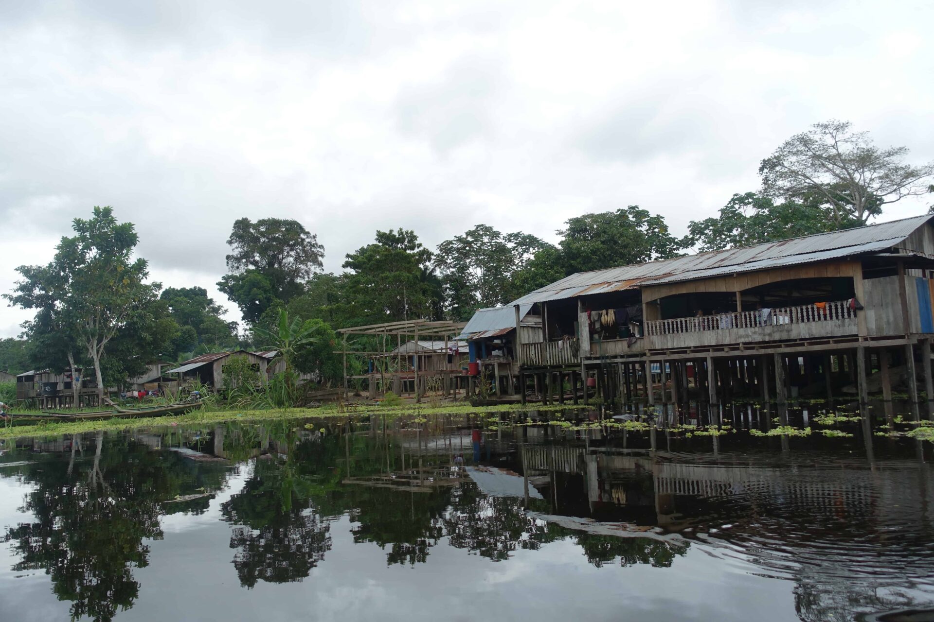 Amazone 3 1 Amazone 3 1