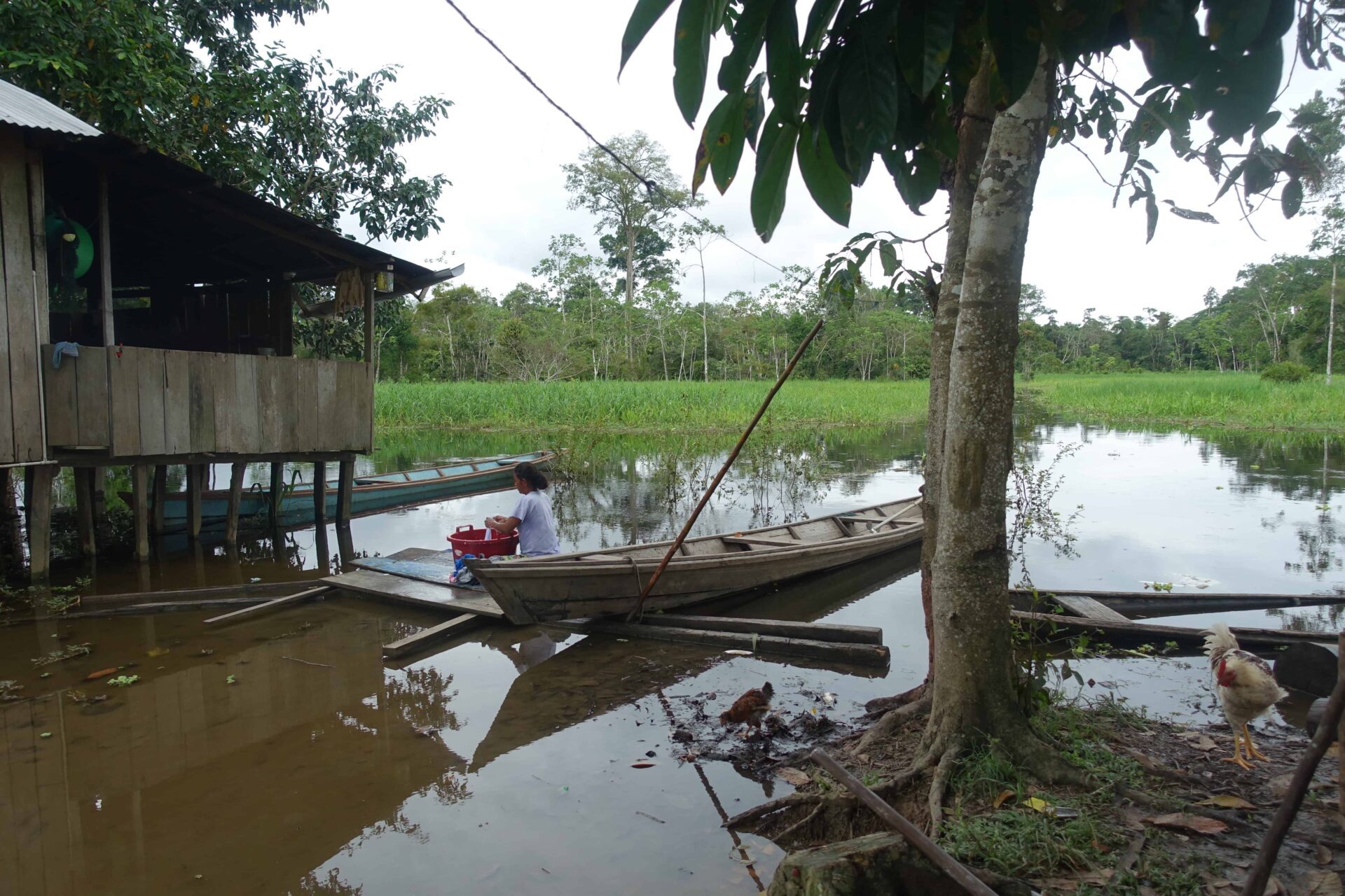 Amazone 4 1 Amazone 4 1