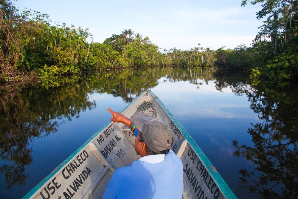 Amazone ecuador