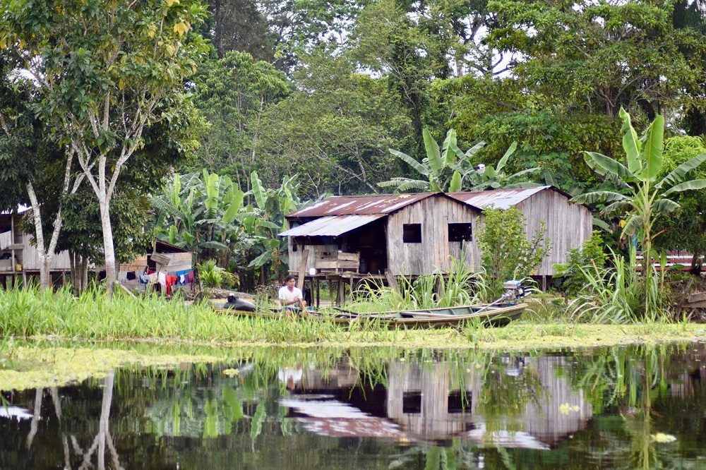 Amazone Colombia (foto Barbara) 228