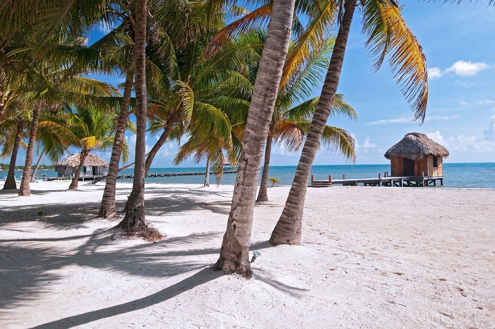 Ambergris caye strand