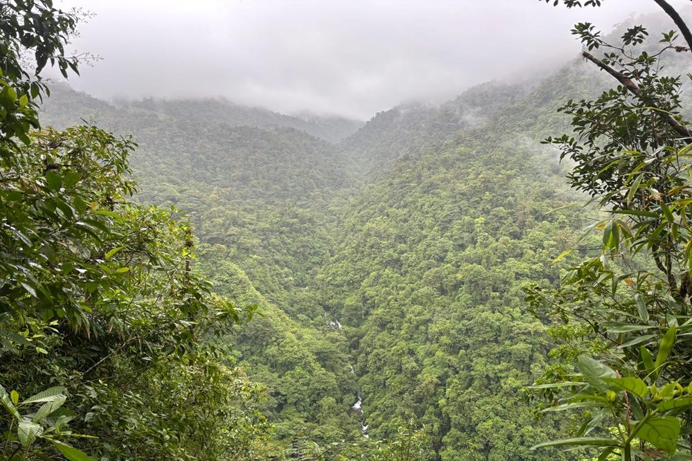 Bajos del Toro Bajos del Toro