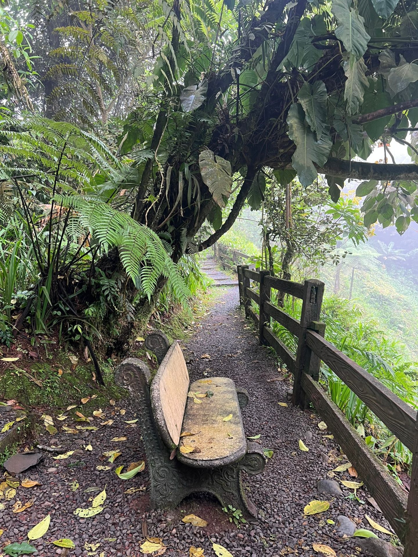 Bajos del Toro Catarata del Toro Bajos del Toro Catarata del Toro