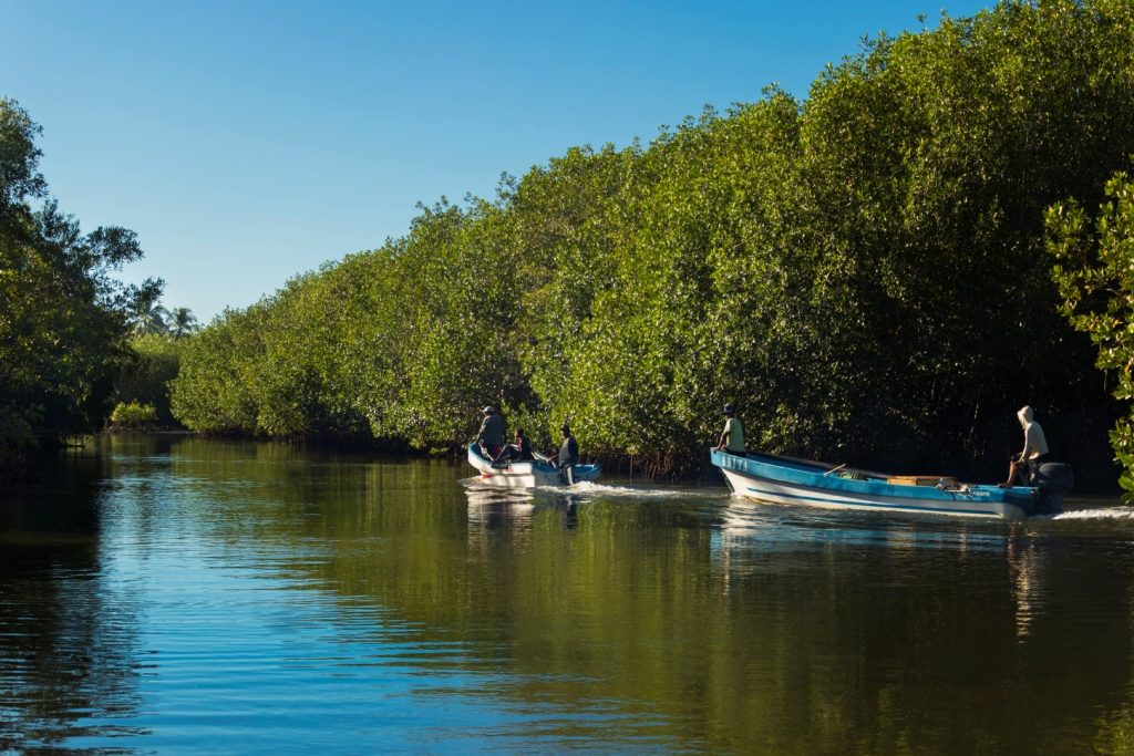 Barra de Santiago