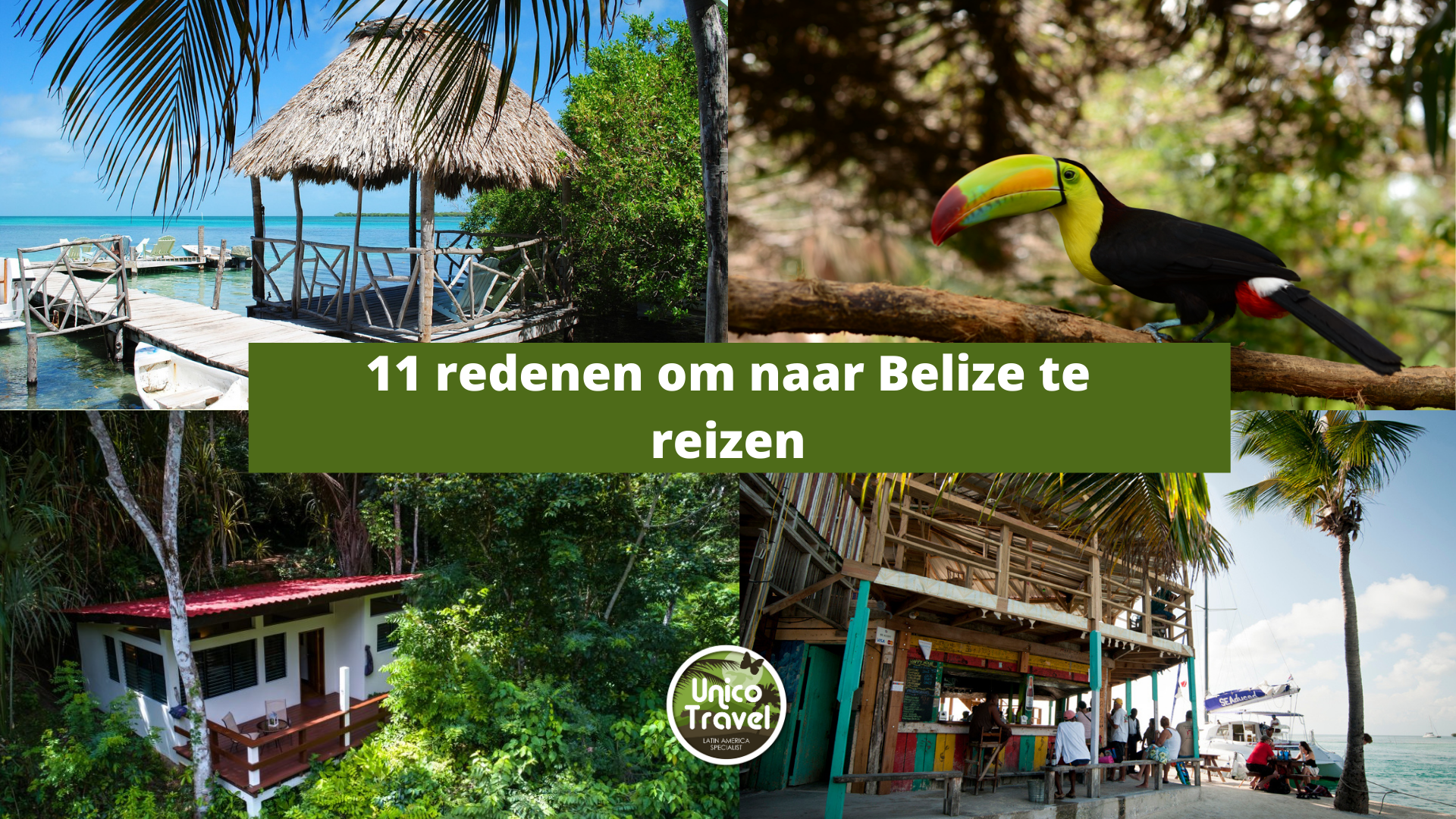 11 redenen Belize reis
