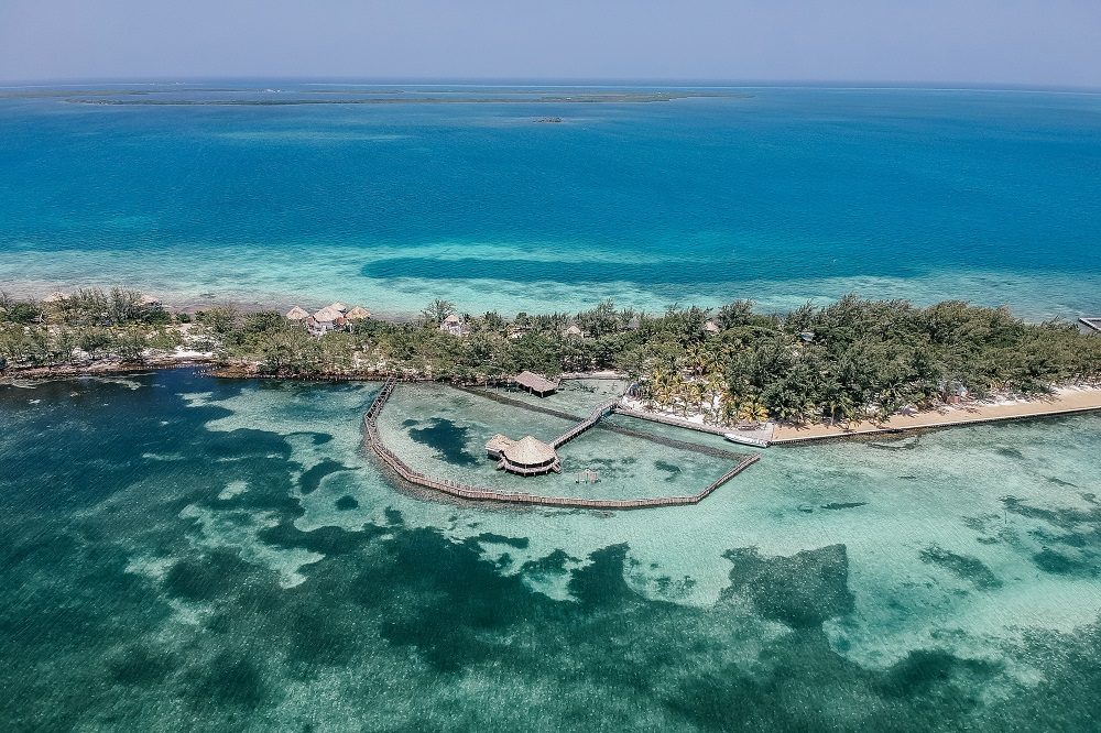 Belize thatch caye