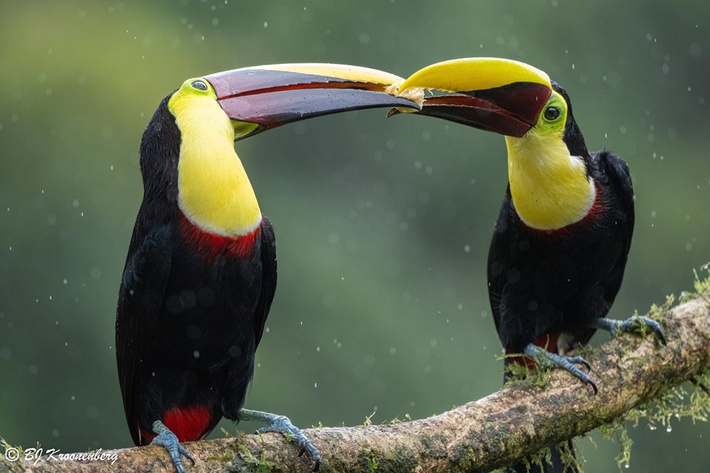 fotografiereis CR fotografiereis CR