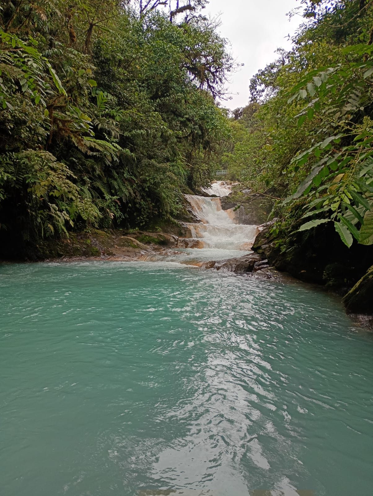 Blue Falls Poza Azul Blue Falls Poza Azul