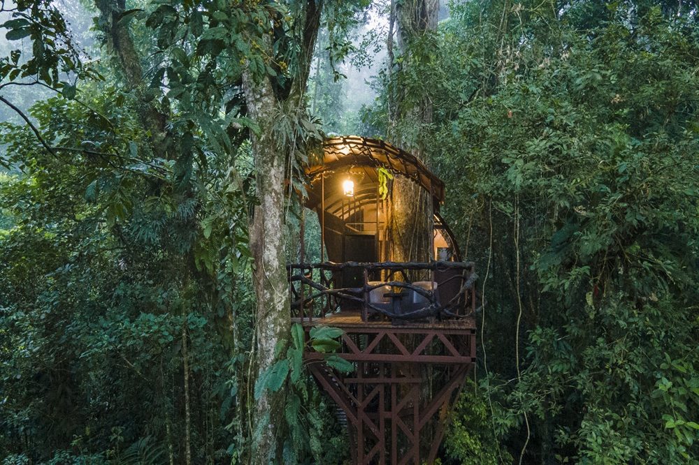 Boca Tapada Treehouse Boca Tapada Treehouse