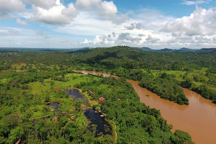 Boca Tapada regenwoud Boca Tapada regenwoud