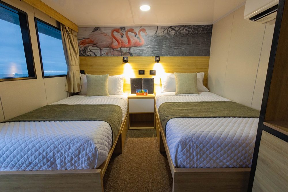 Bonita cruise twin cabin