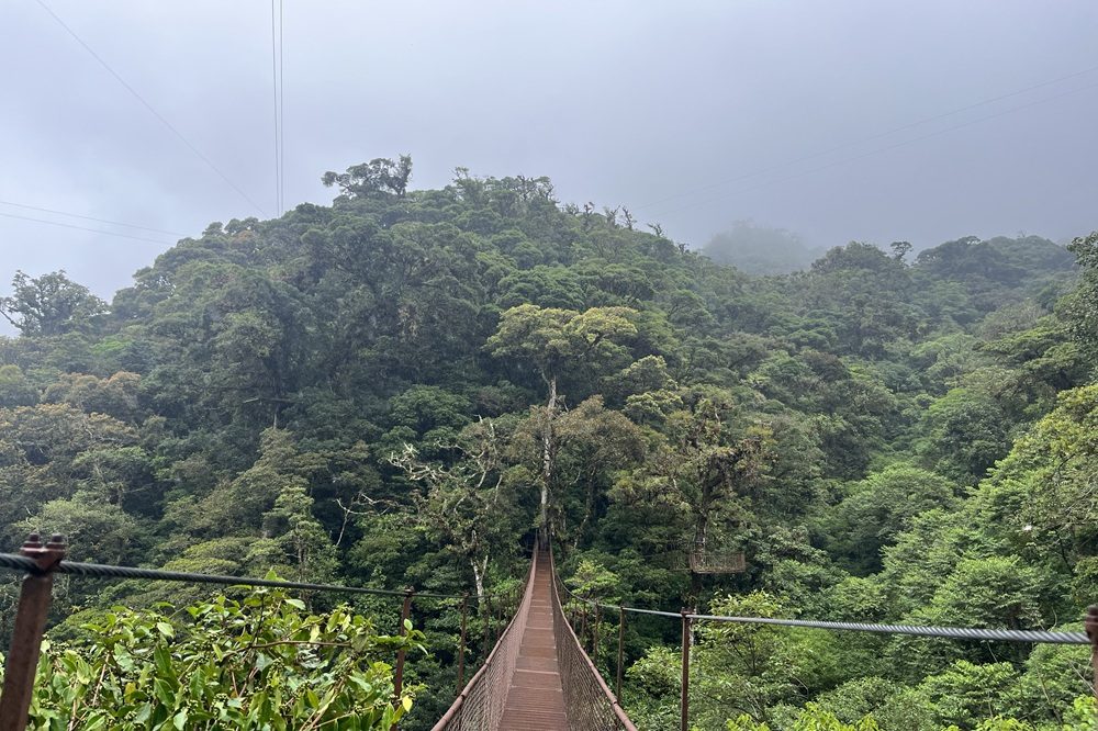Boquete hangingbridges