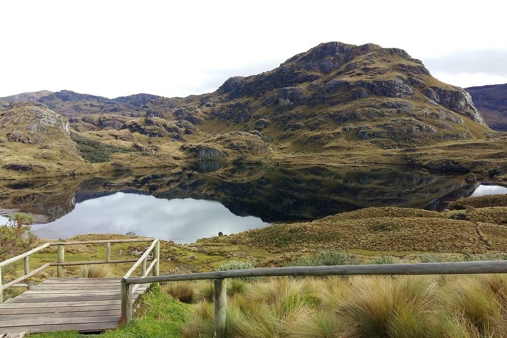 Cajas Nationaal Park individuele rondreis ecuador