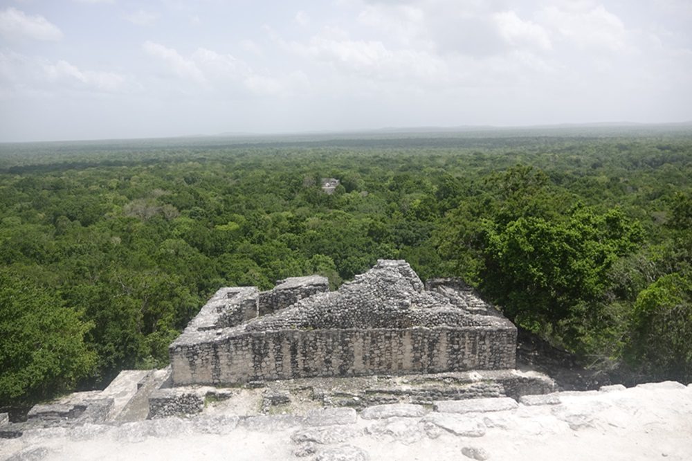 Calakmul hoogtepuntenreis Mexico
