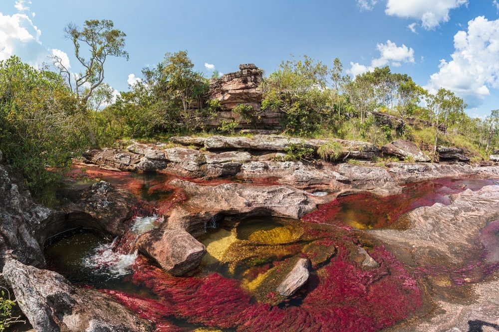 Cano Cristales door Pablo Manigua Lodge ontvangen Cano Cristales door Pablo Manigua Lodge ontvangen
