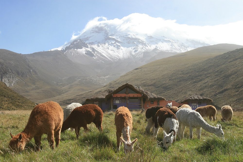 Chimborazo vulkaan