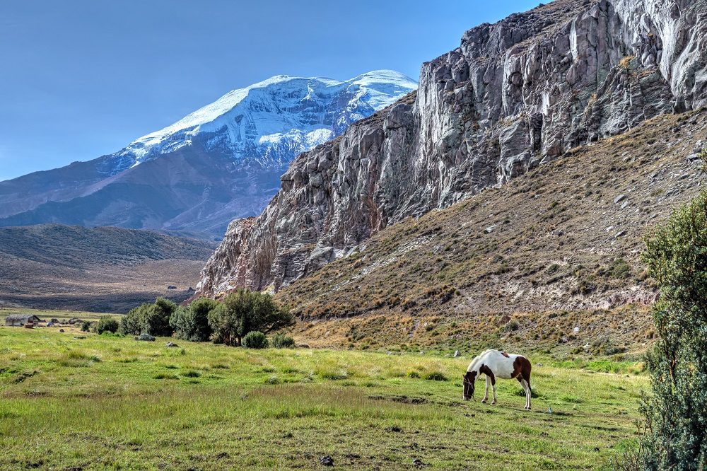 Chimborazo Ecuador 4 Chimborazo Ecuador 4