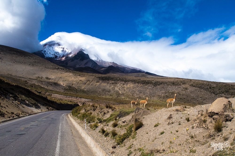 Chimborazo vulkaan 1 Chimborazo vulkaan 1