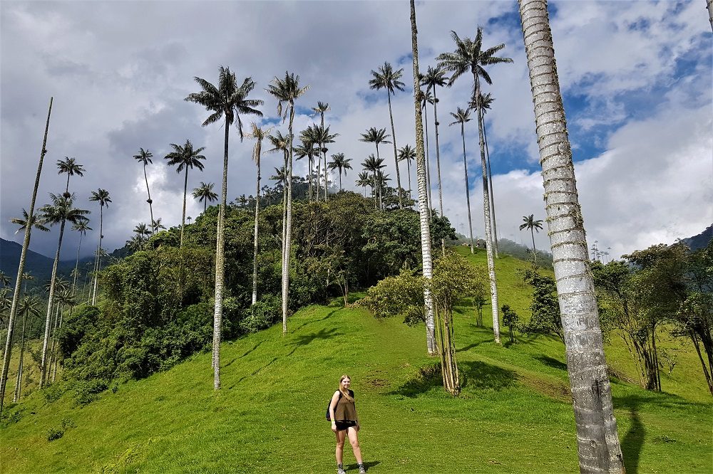 Cocora vallei elise