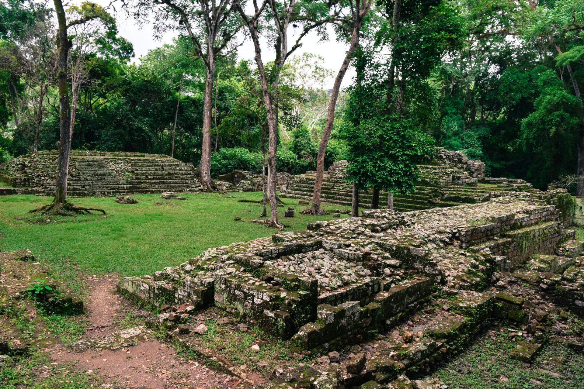 Copan 5 scaled