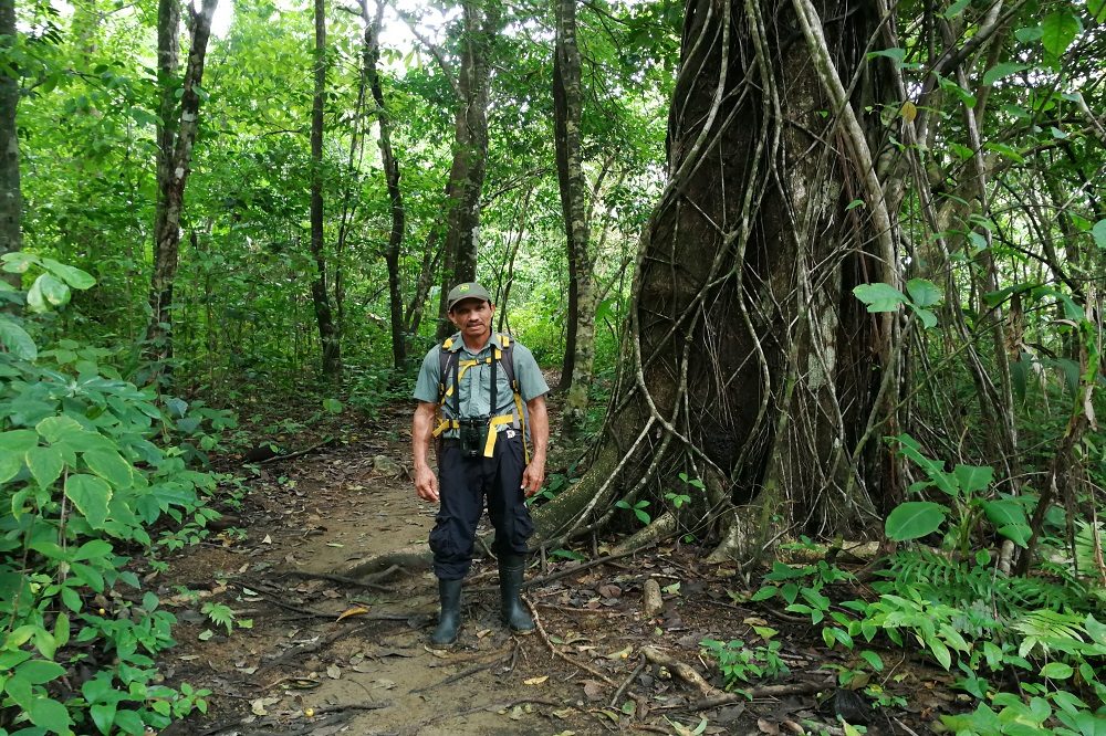 Corcovado gids 1 Corcovado gids 1