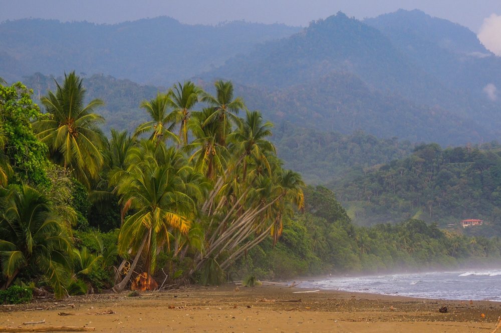 Dominical Beach