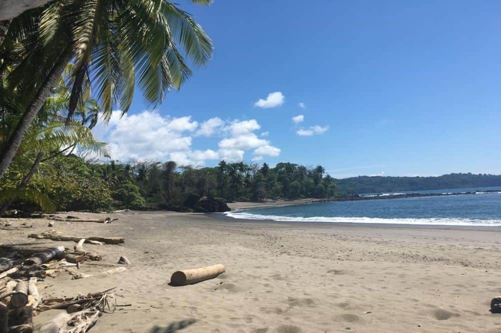 Costa Rica Ongerept 2 Costa Rica Ongerept 2