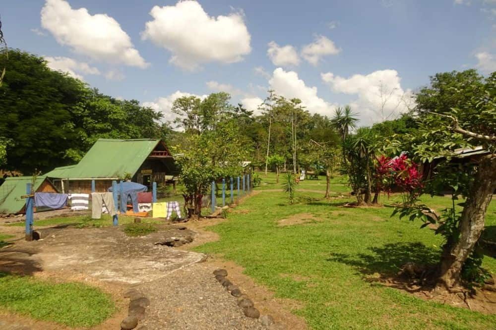 Costa Rica Ongerept 3 1 Costa Rica Ongerept 3 1