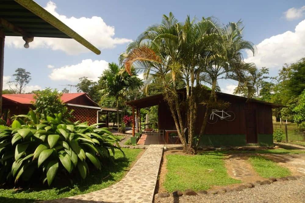 Costa Rica Ongerept 4 1 Costa Rica Ongerept 4 1