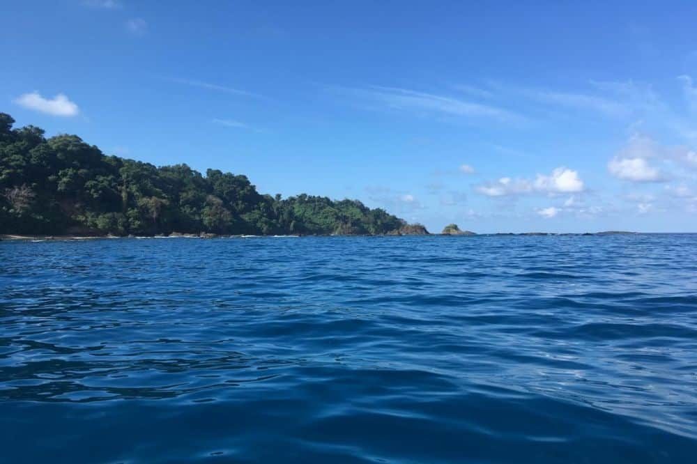 Costa Rica Ongerept 5 Costa Rica Ongerept 5