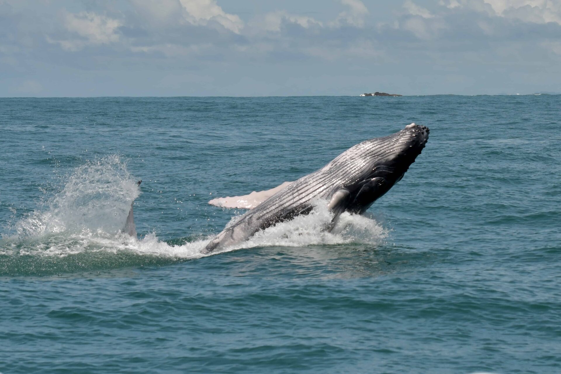 Costa Rica Uvita