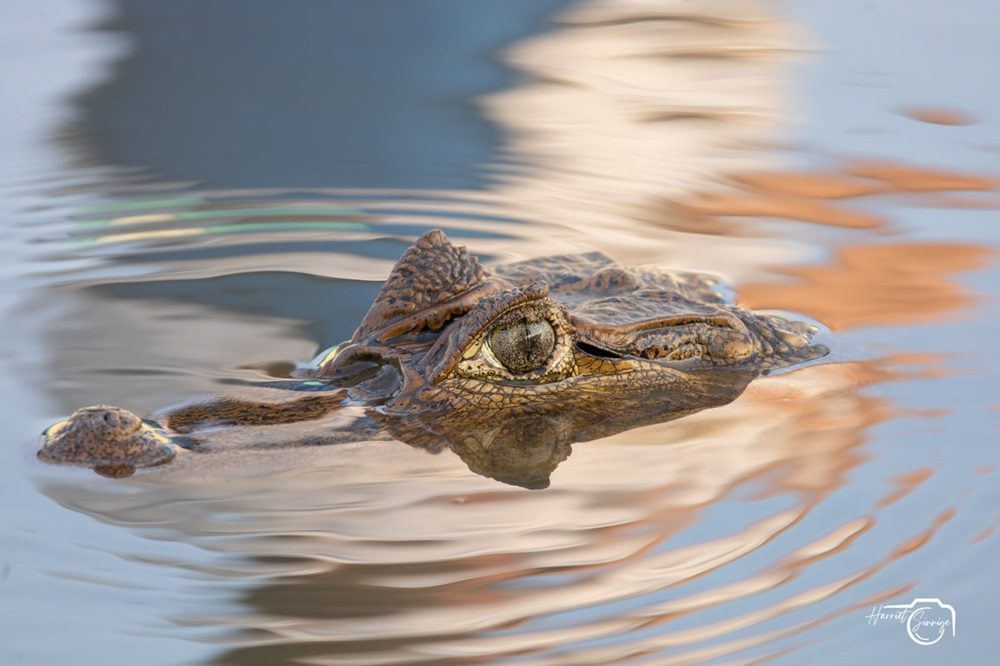 Costa Rica fototeis Costa Rica fototeis