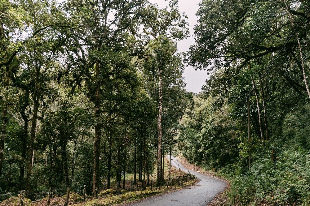 Costa Rica rijden door nevelwoud Costa Rica rijden door nevelwoud