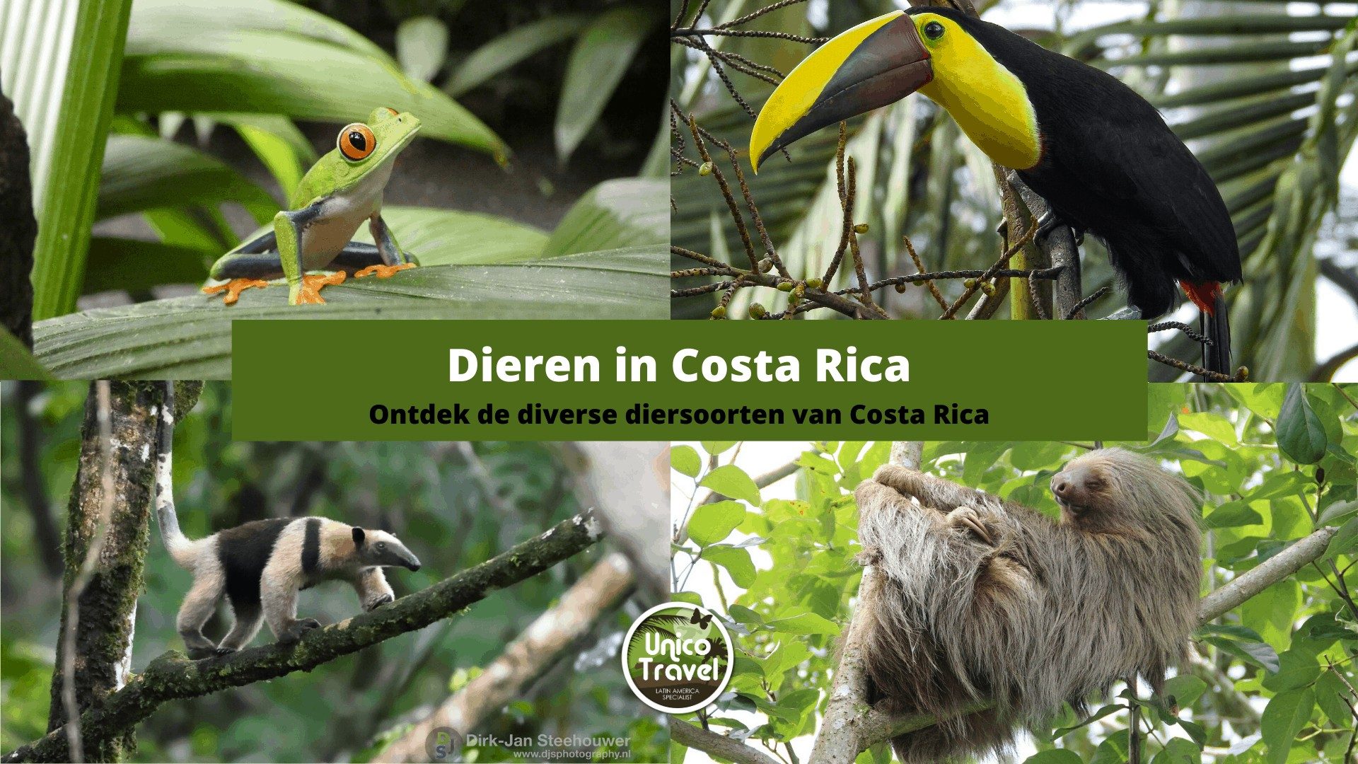 Dieren in Costa Rica nieuwe