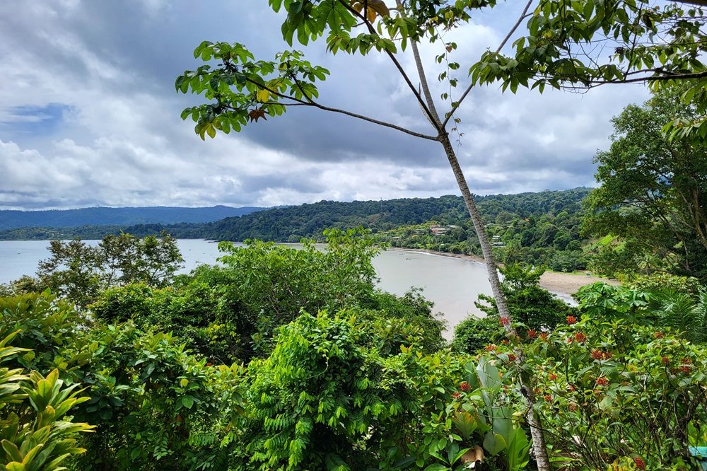 Drake Bay groepsreis costa rica