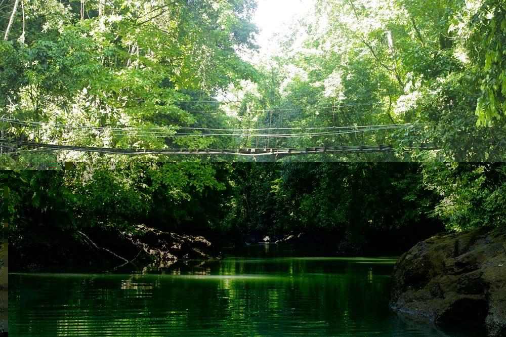Drake Bay hanging bridge Drake Bay hanging bridge