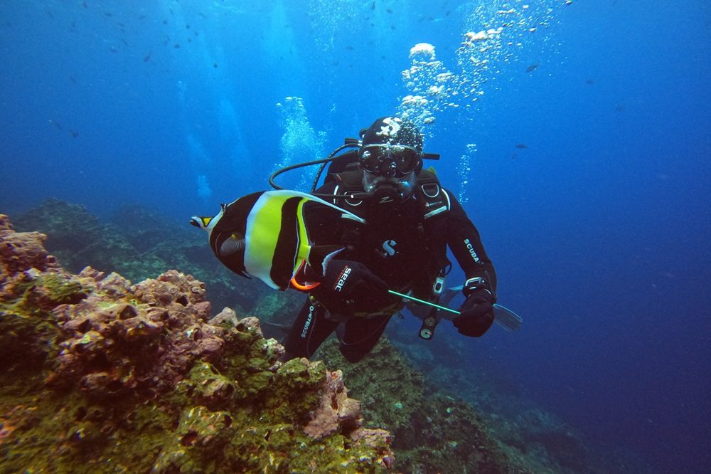 Duiken galapagos 1