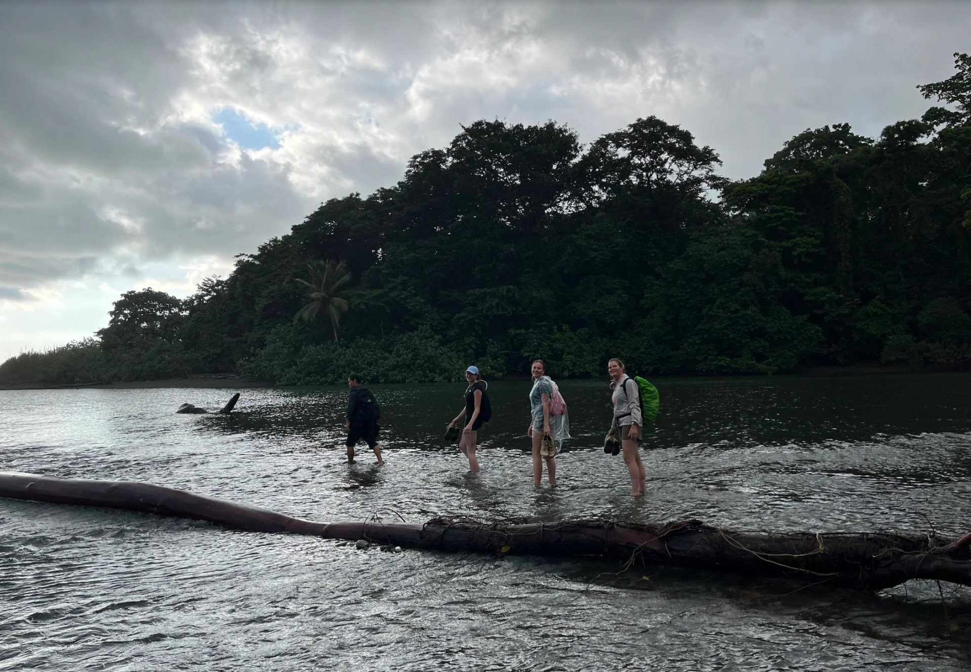 Familie Blom Familie Blom
