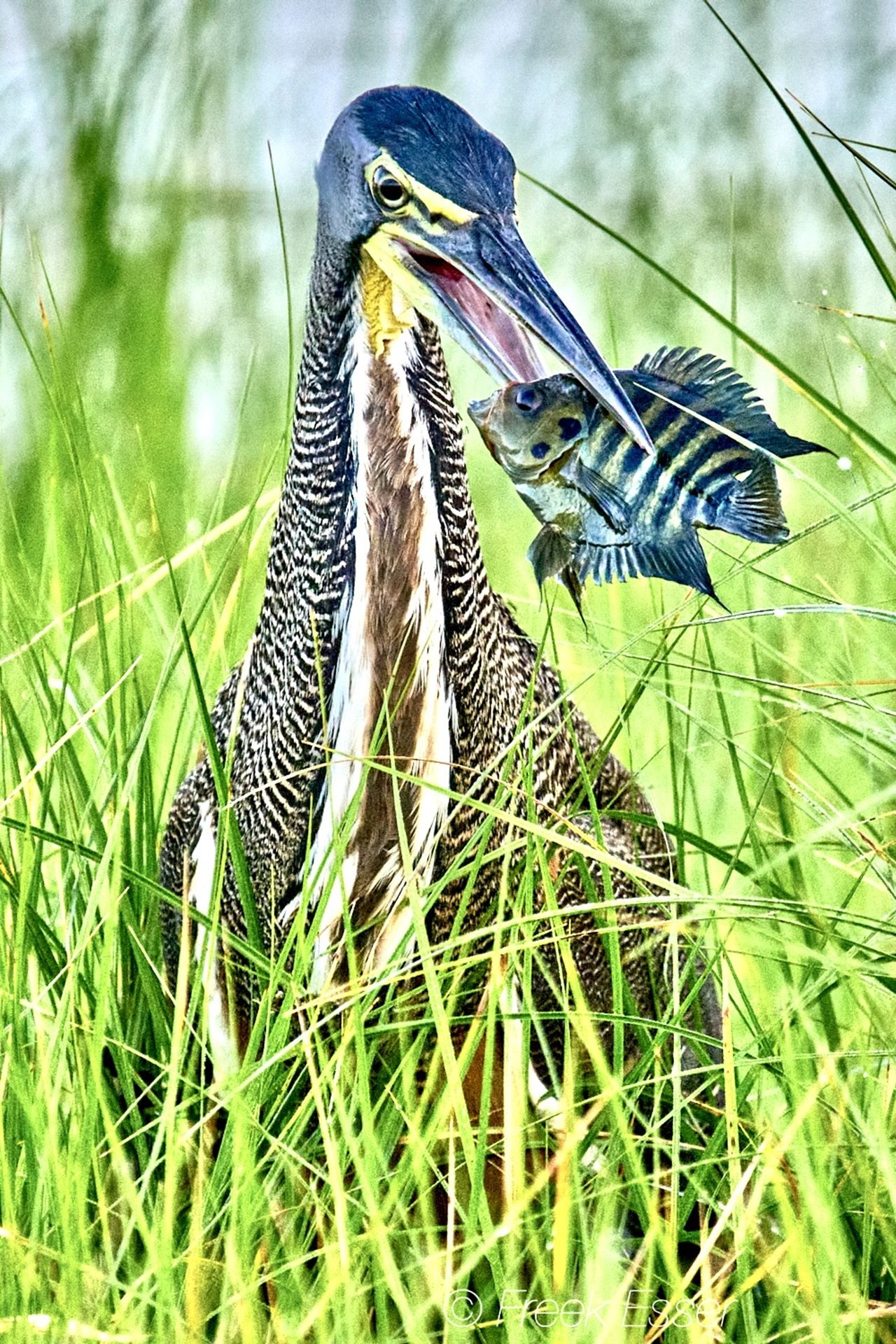 Fotoreis Costa Rica