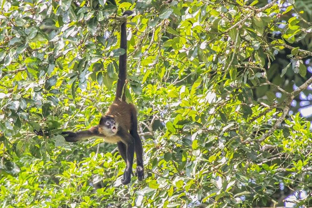 Fotoreis Costa Rica