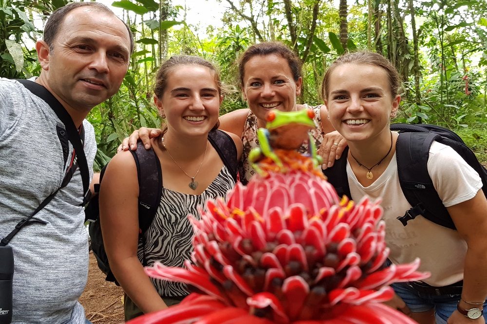 Frogs Heaven puerto viejo de sarapiqui Frogs Heaven puerto viejo de sarapiqui