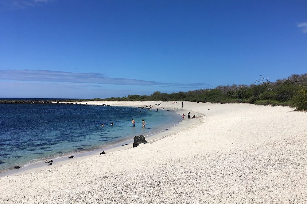Galapagos Playa Punta Carola San Cristobal