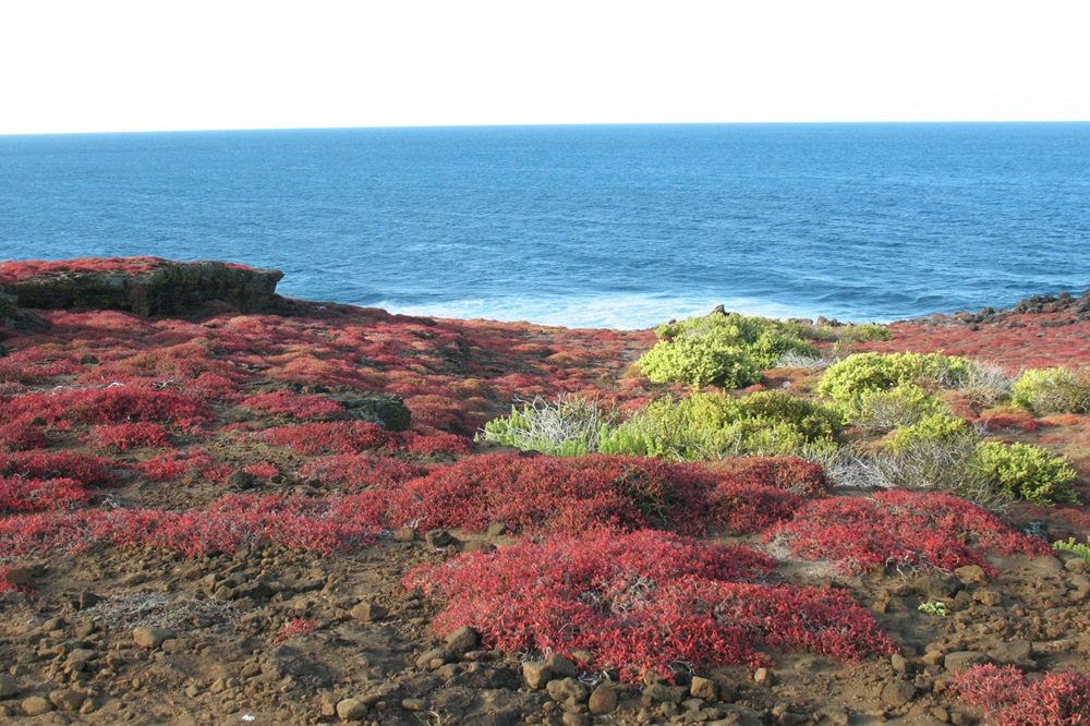 Galapagos eiland landschap fotoreis ecuador