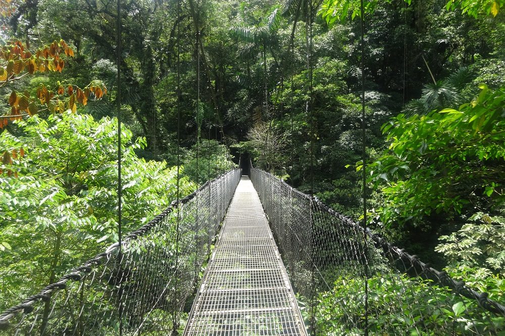 Hangbrug Arenal 9